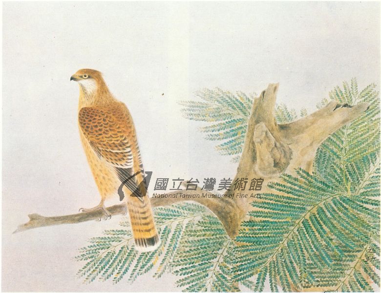 文獻展示圖片4